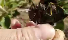 知了视频,探索科技与生活的无限可能